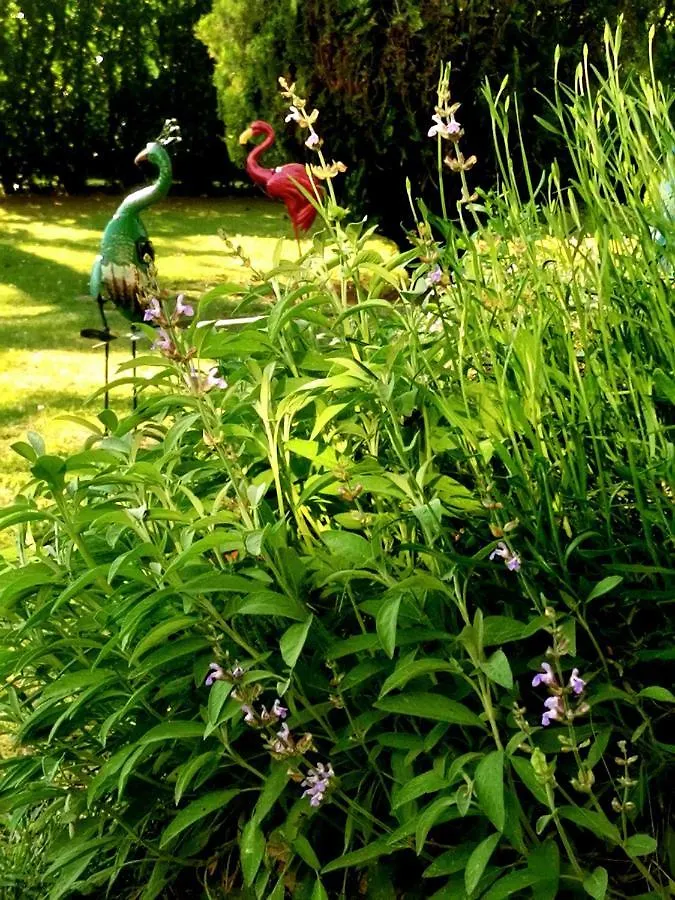 Bed & Breakfast Le Balcon Des Jasses Bed and Breakfast Espere