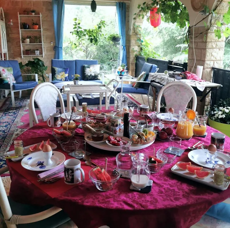 Le Balcon Des Jasses Bed & Breakfast Espere